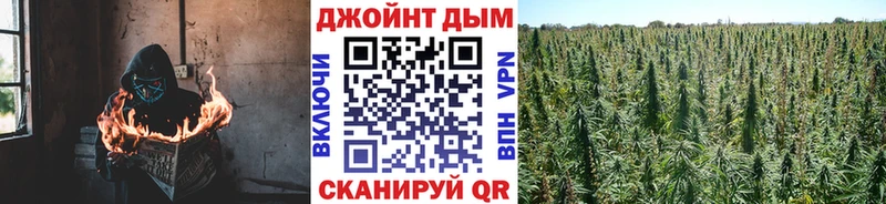 Купить Лосино-Петровский Каннабис omg ссылки ЭКСТАЗИ APVP Мефедрон ГАШИШ Cocaine
