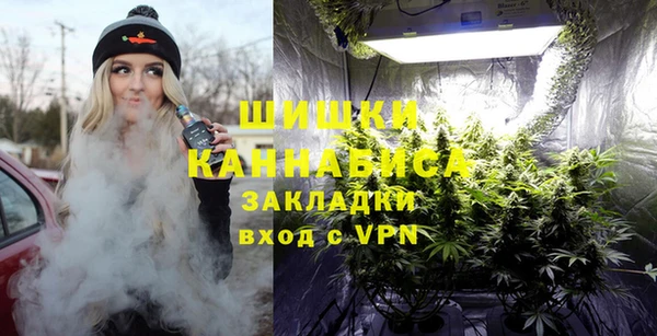 спайс Дмитриев