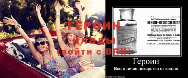 дживик Ельня